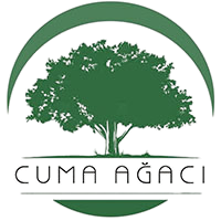 Cuma Ağacı